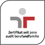 audit